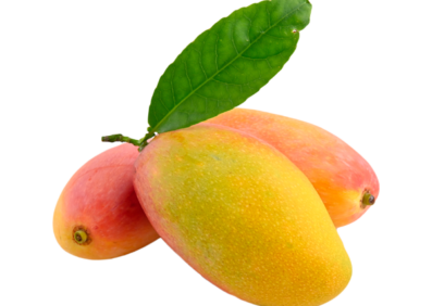 Large Fresh Mango