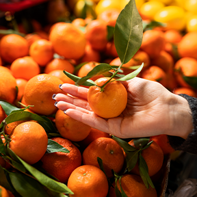 Fresh Fruits